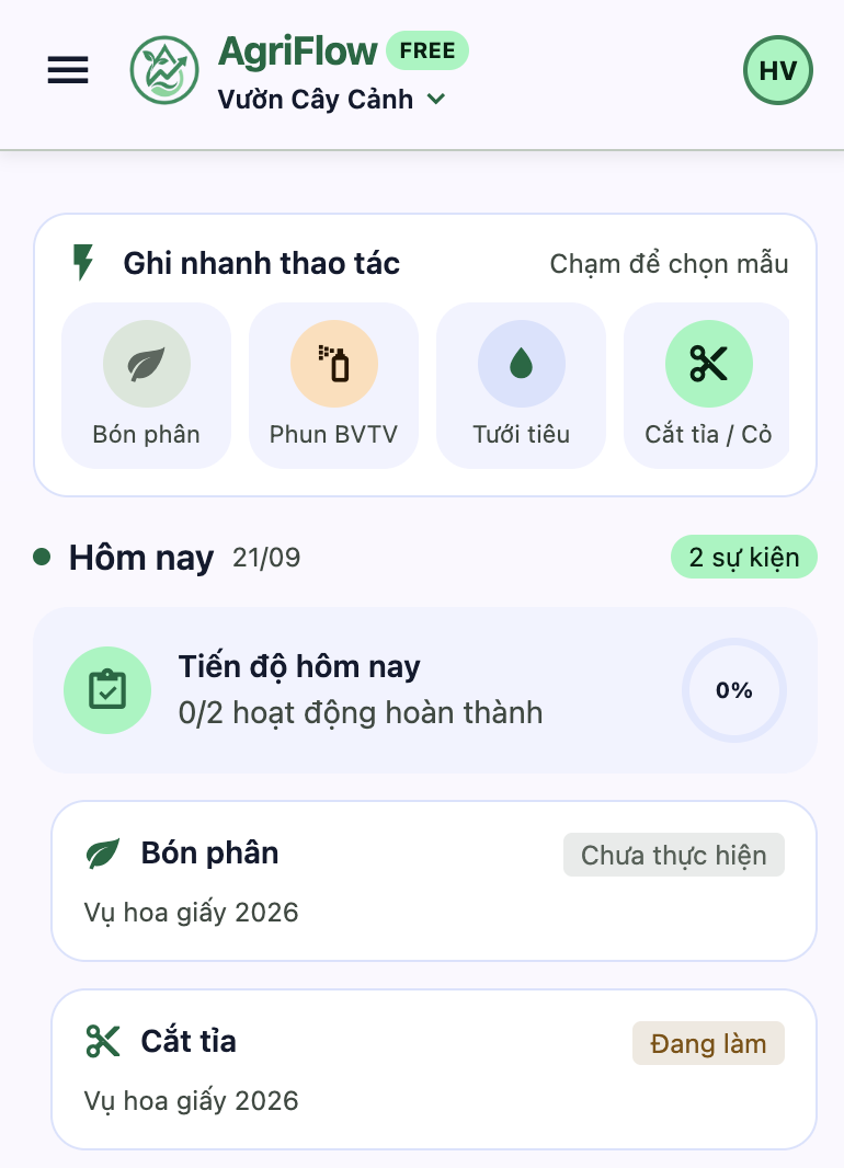 Phone Screen